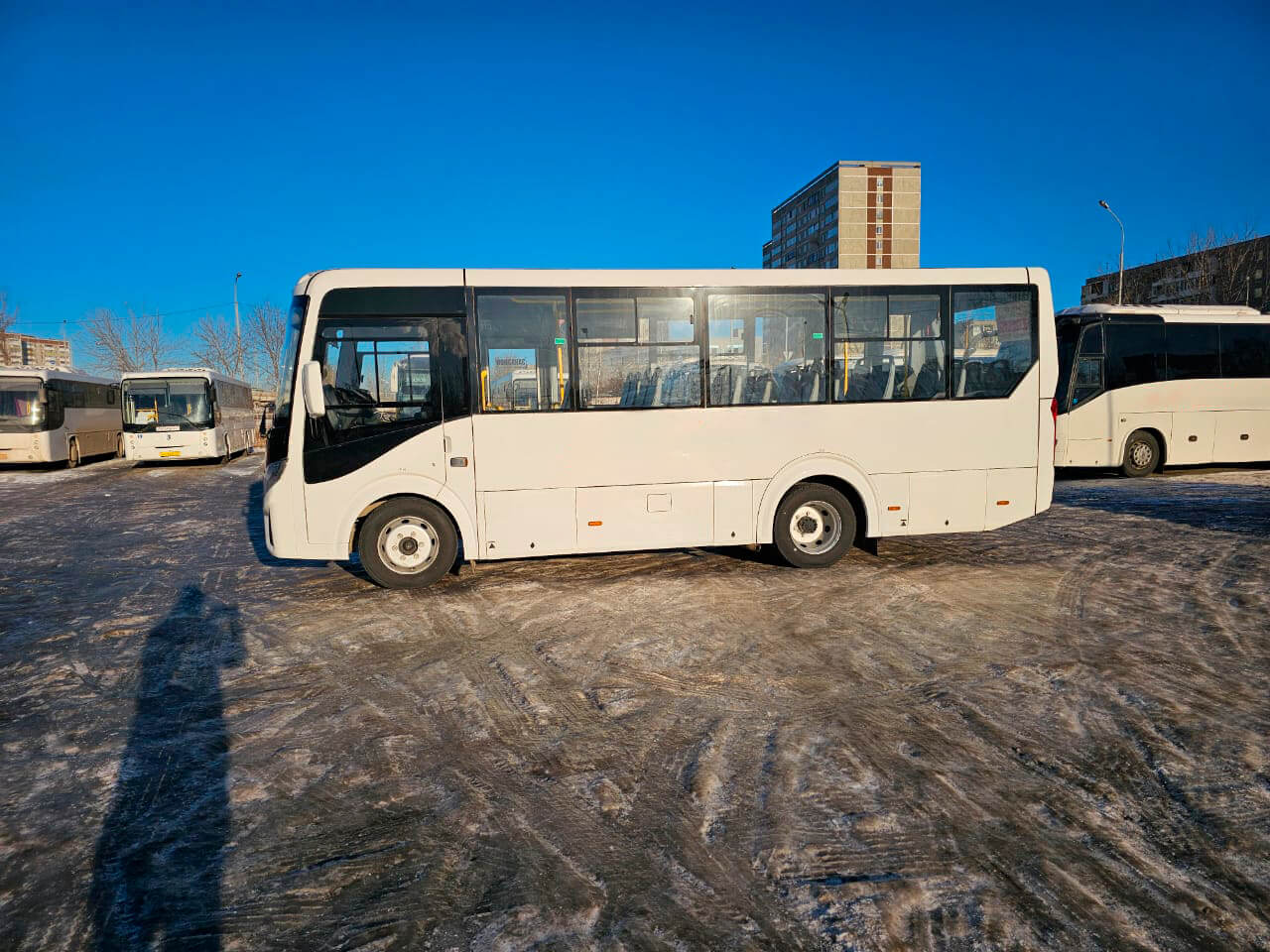 ПАЗ Вектор Next аренда